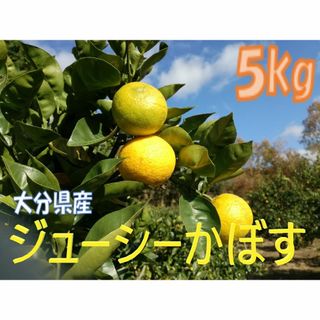 大分県名産 ジューシーかぼす ５kg 種なし(フルーツ)