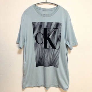 カルバンクライン(Calvin Klein)のCalvin Klein L メンズ Tシャツ(Tシャツ/カットソー(半袖/袖なし))