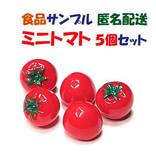 ５個セット 新品 食品 サンプル ミニトマト トマト 野菜 写真 インスタ 映え(その他)