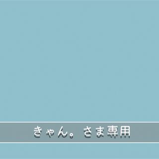 ◎きゃん。さま専用◎(その他)