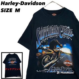 Harley Davidson - 【丈夫な生地】ハーレーダビッドソン 両面ビッグ