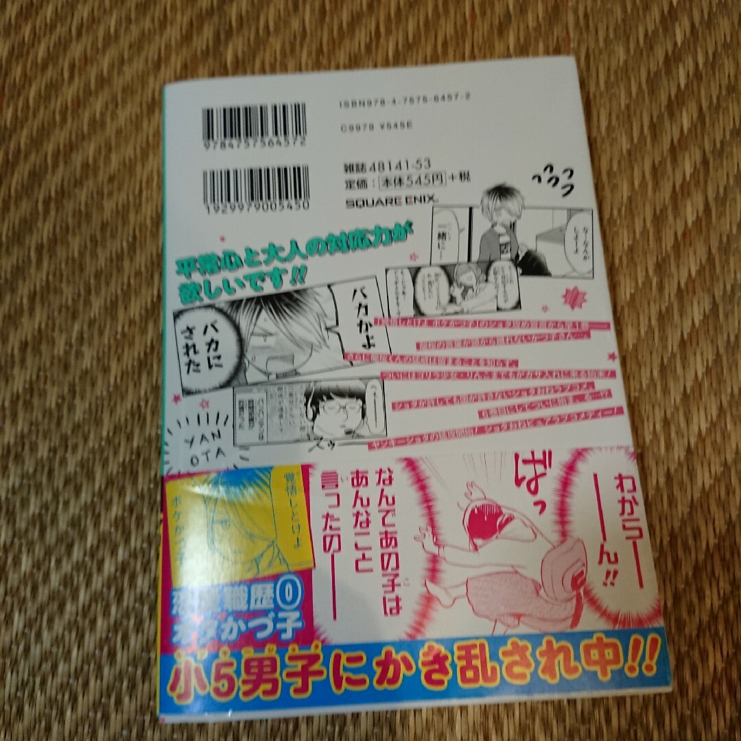 匿名配送 ヤンキーショタとオタクおねえさん 6