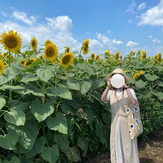 シマムラ(しまむら)のしまむら ワンピースジレ(ベスト/ジレ)