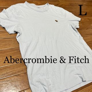 アバクロンビーアンドフィッチ(Abercrombie&Fitch)のアバクロ　Tシャツ　Lサイズ　ライトブルー(Tシャツ/カットソー(半袖/袖なし))