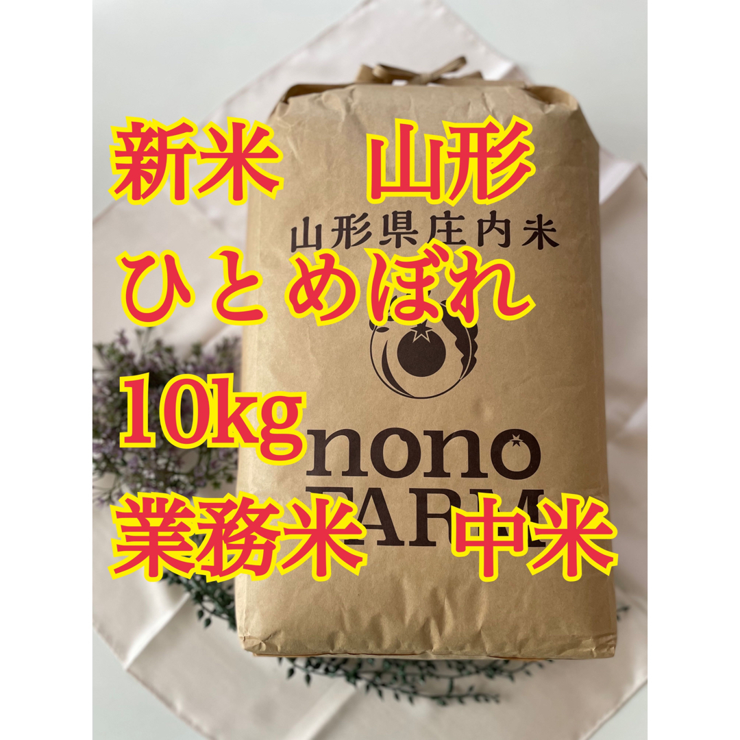 雪若丸　20kg 中米　業務米　令和5年 山形　特別栽培米食品/飲料/酒