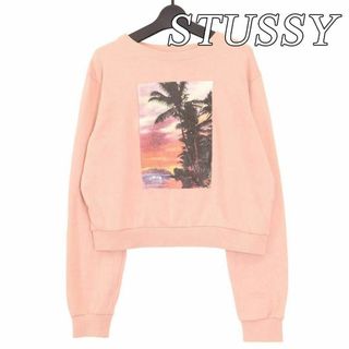 STUSSY ステューシー フォトプリント スウェット トレーナー ピンク M