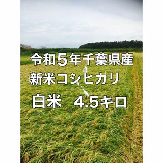 新米コシヒカリ白米4.5キロ(米/穀物)