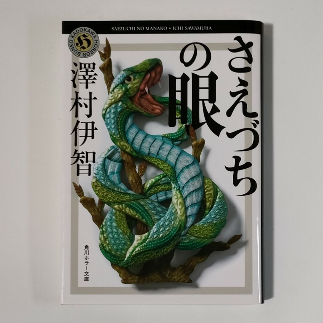さえづちの眼 エンタメ/ホビーの本(文学/小説)の商品写真