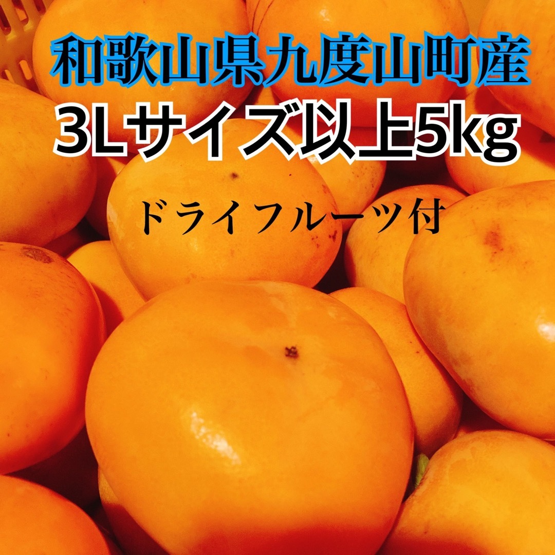 最終出品　和歌山県九度山町産　日本一のたねなし柿　3L以上　ドライフルーツ付 食品/飲料/酒の食品(フルーツ)の商品写真