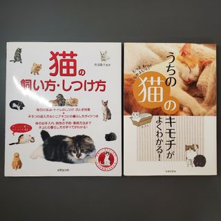 猫　初心者　本(住まい/暮らし/子育て)