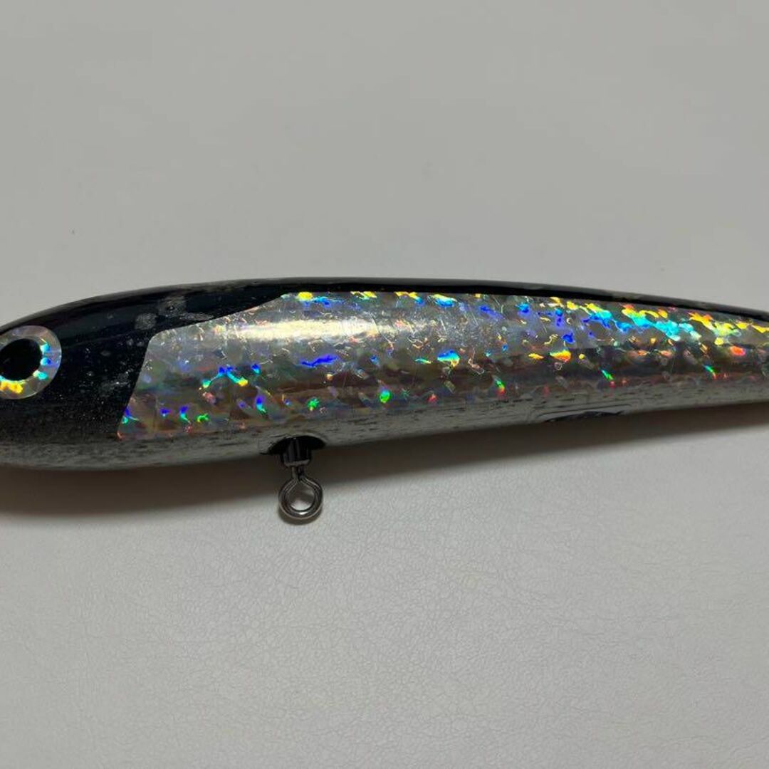 ブルーフィッシュ100【FISH】　カーペンター　BF100　carpenter