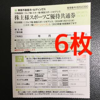 ★東急不動産株主優待 6枚★東急スポーツオアシス、スキー場リフト券(フィットネスクラブ)