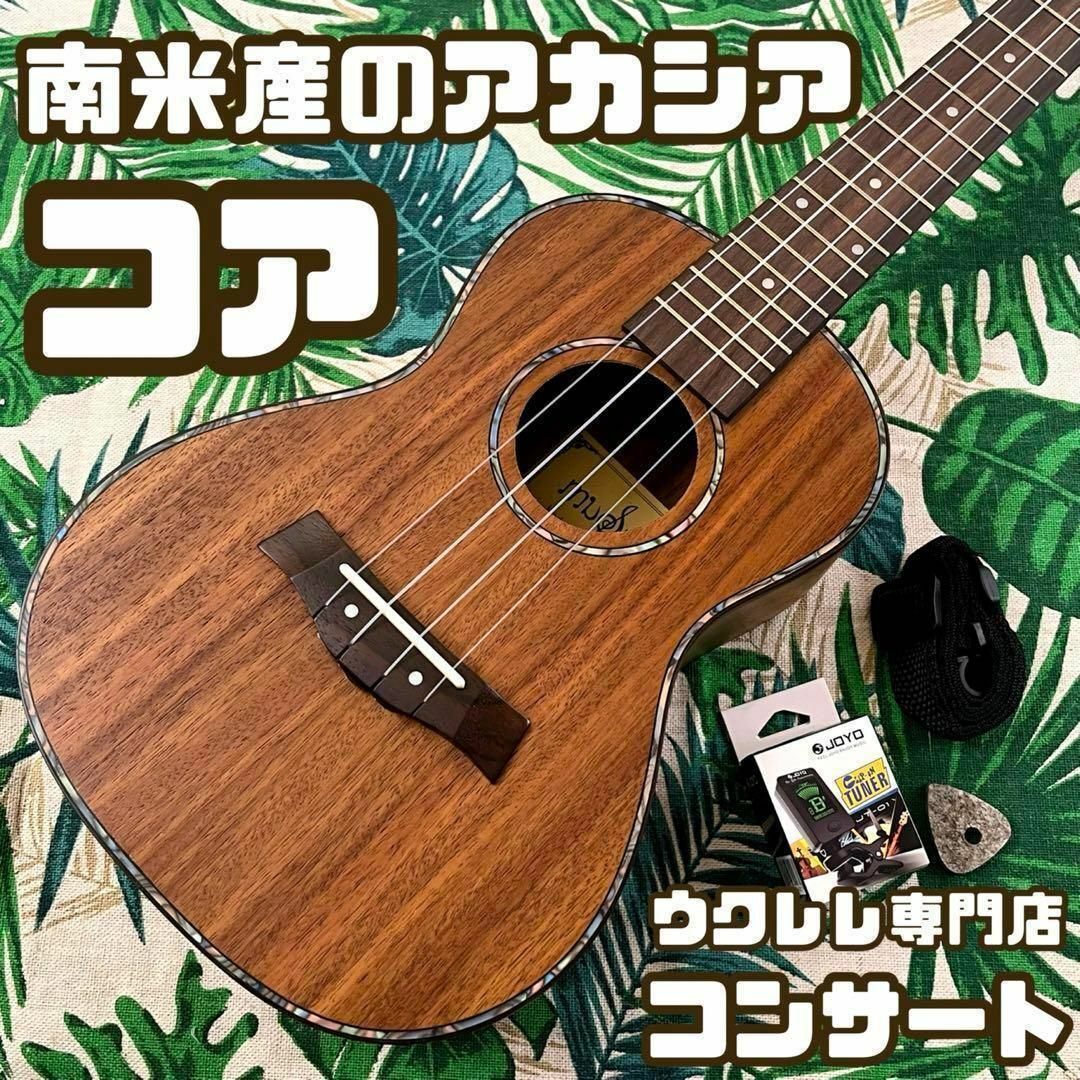 入門セット】music南米産コア材のコンサートウクレレ【ウクレレ専門店】-