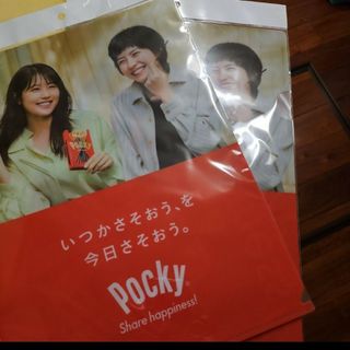 エザキグリコ(江崎グリコ)の非売品】グリコポッキー クリアファイル 2枚 有村架純 佐久間由依(クリアファイル)