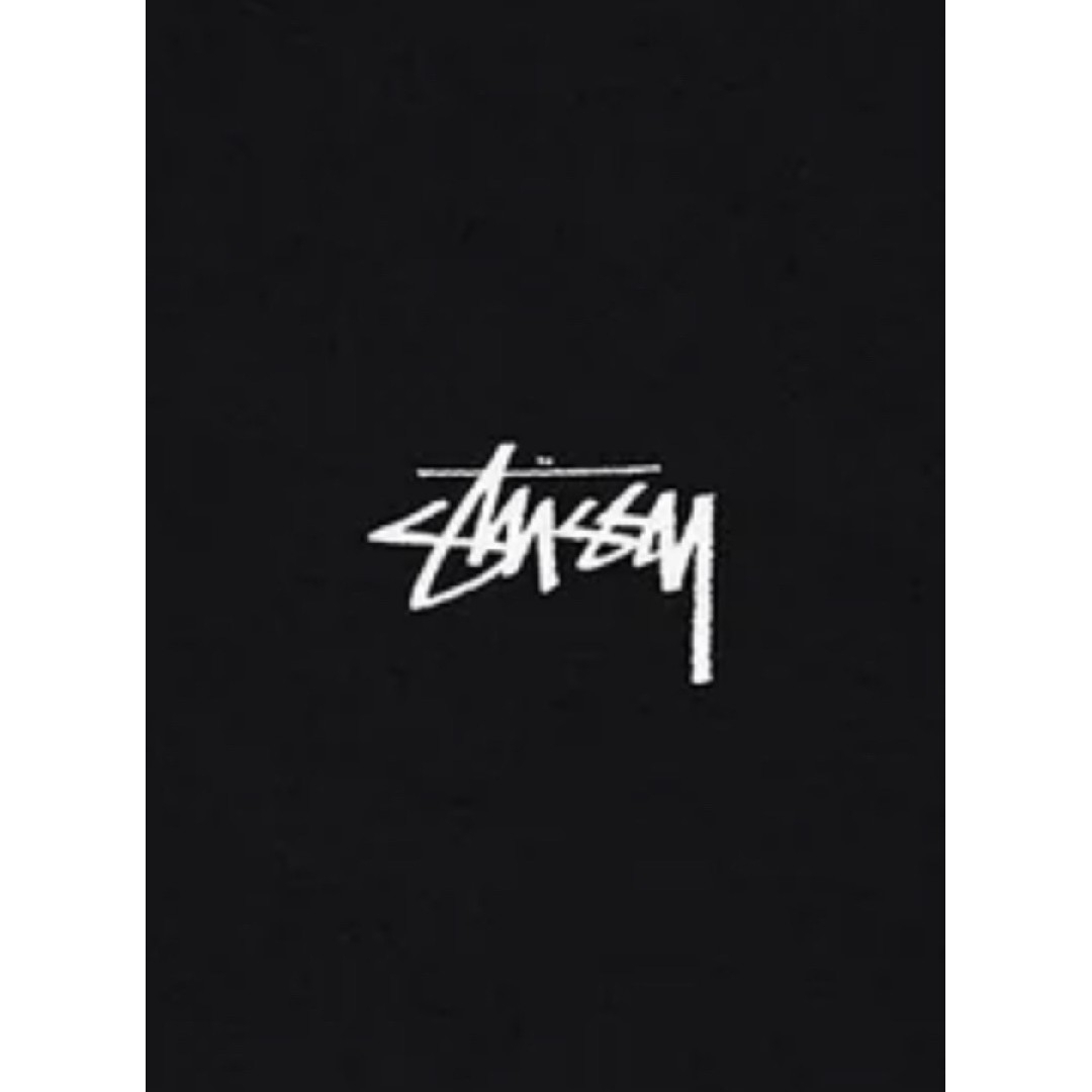 STUSSY(ステューシー)のSTUSSY DICED OUT TEE BLACK【完売品】 メンズのトップス(Tシャツ/カットソー(半袖/袖なし))の商品写真