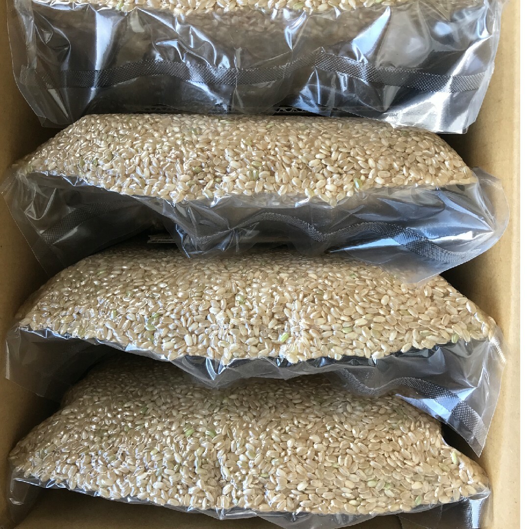 自然栽培 朝日米 10kg 玄米 R5年 在来種 無農薬 無農薬玄米