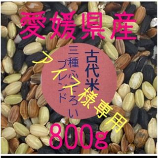 アイス様専用　古代米3種ふぞろいブレンド　愛媛県産　800ｇ(米/穀物)