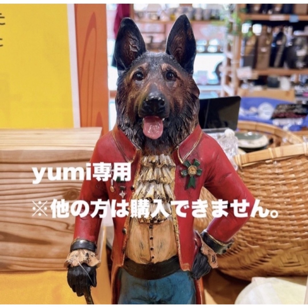 yumiさま専用