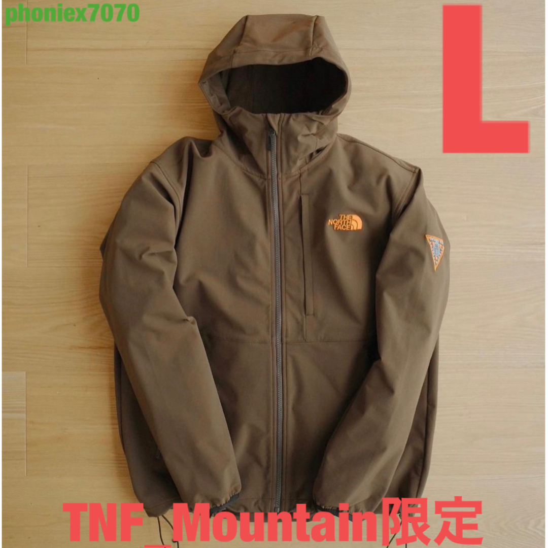 THE NORTH FACE - ノースフェイスマウンテン限定 Lasting Quality V3