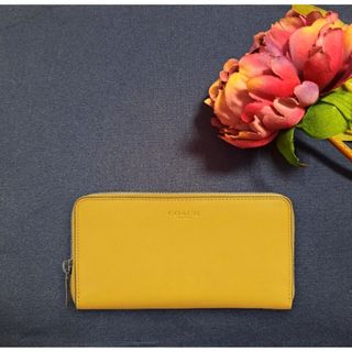 コーチ(COACH) 財布(レディース)(イエロー/黄色系)の通販 300点以上