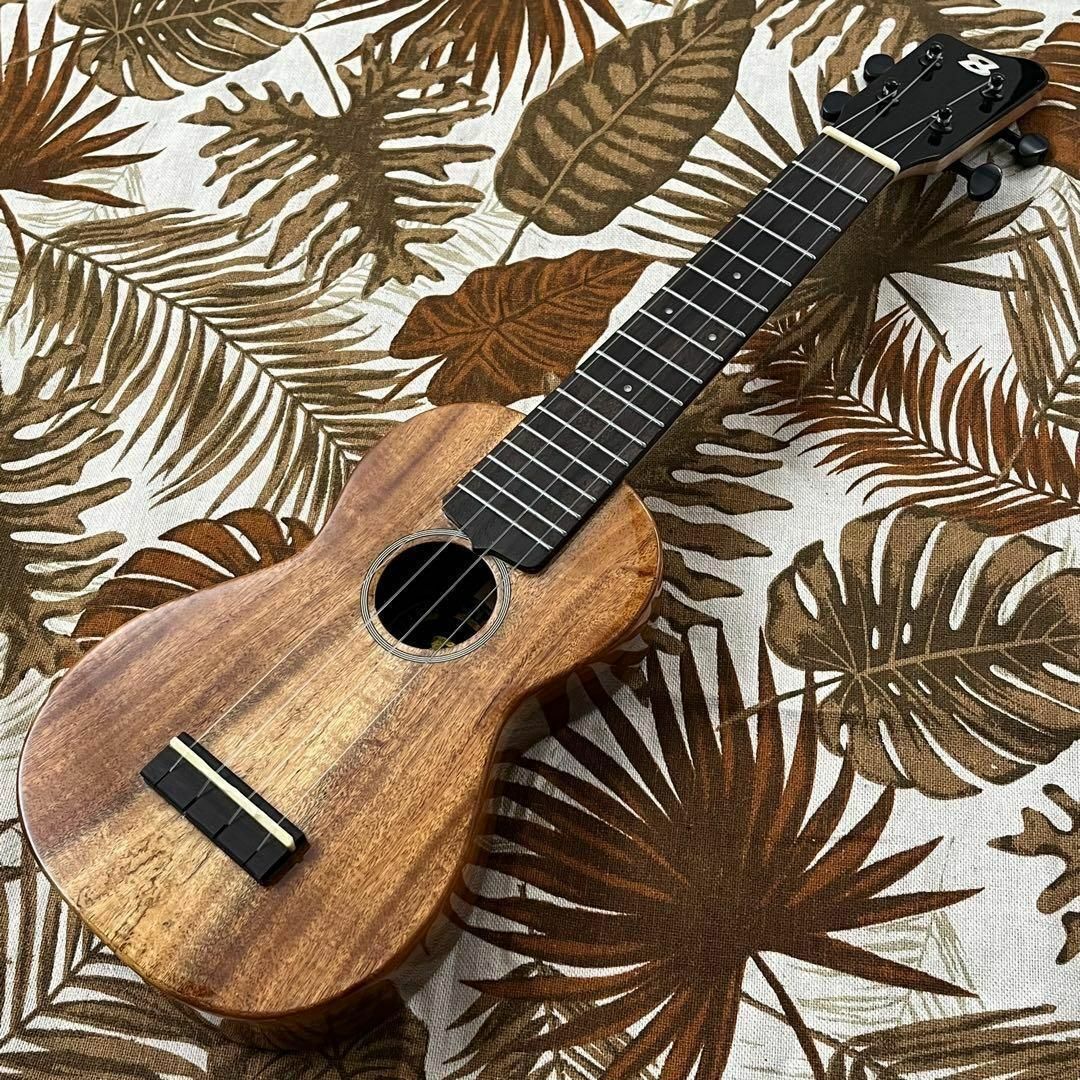 【Bright sun】コア材単板の薄型エレキウクレレ【ukulele】