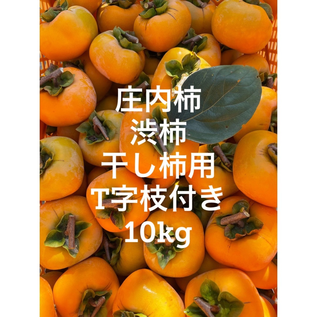 庄内柿 渋柿 干し柿用 手作り用 T字枝付き 10kgの通販 by ももー's ...