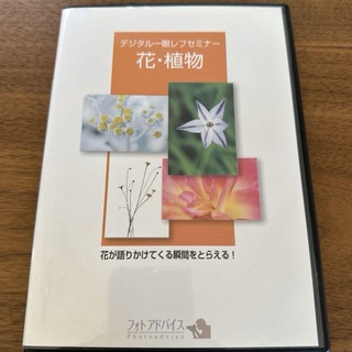 デジタル一眼レフセミナー　『花•植物』　フォトアドバイス(趣味/実用)