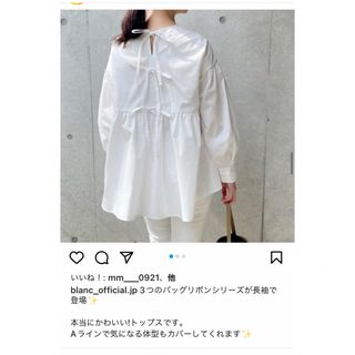 le.coeur blanc - 美品 ルクールブラン ストライプ ブラウス 長袖 ...