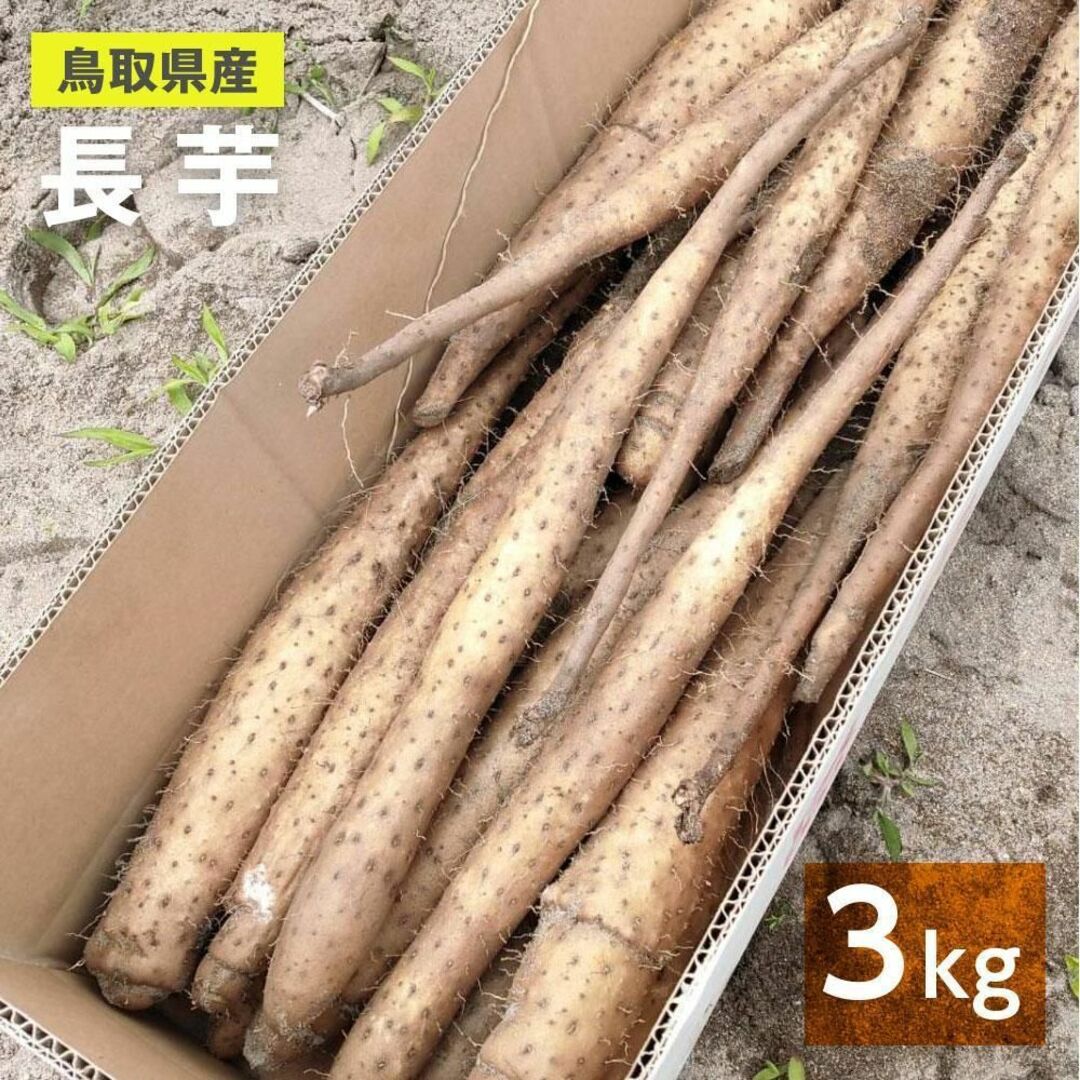 【家庭用】砂丘ながいも　長芋　とりたて 3kg程度　とろろ　ねばり　山芋 食品/飲料/酒の食品(野菜)の商品写真