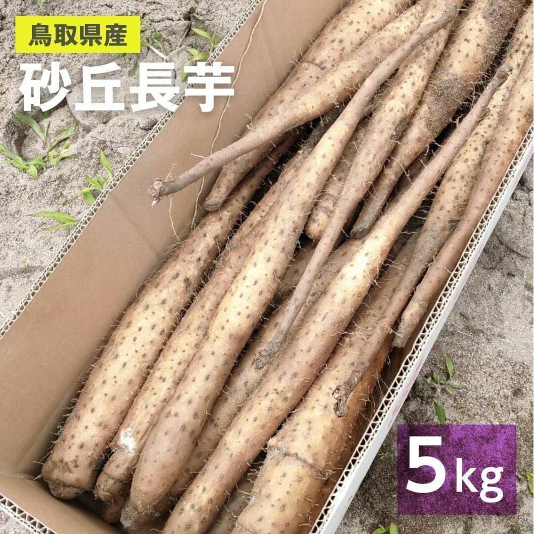 【家庭用】砂丘ながいも　長芋　とりたて 5kg程度　とろろ　ねばり　山芋 食品/飲料/酒の食品(野菜)の商品写真