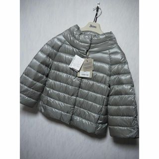 ヘルノ(HERNO)の新品　HERNO　ダウン　22AW　PI0046DIC　40(ダウンジャケット)