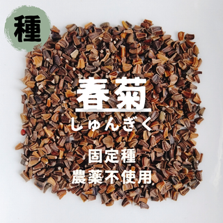 【種】春菊　シュンギク　無農薬　100粒(野菜)