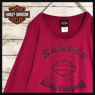 ハーレーダビッドソン(Harley Davidson)の【USA製】ハーレーダビッドソン　キラキラプリントロンＴ　人気Ｌ　E657(Tシャツ(長袖/七分))