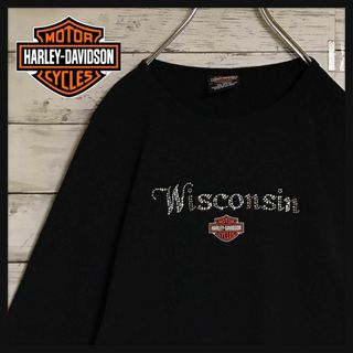 ハーレーダビッドソン(Harley Davidson)の【メキシコ製】ハーレーダビッドソン　ラインストーン使いロンＴ　人気黒　E648(Tシャツ(長袖/七分))