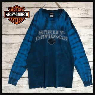 ハーレーダビッドソン(Harley Davidson)の【メキシコ製】ハーレーダビッドソン　タイダイ柄シンプルロゴ入りロンＴ　E569(Tシャツ/カットソー(七分/長袖))