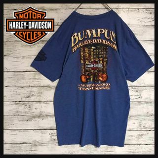 ハーレーダビッドソン(Harley Davidson)の【人気Ｌサイズ】ハーレーダビッドソン　テネシー州Tシャツ　ブルー　F589(Tシャツ/カットソー(半袖/袖なし))