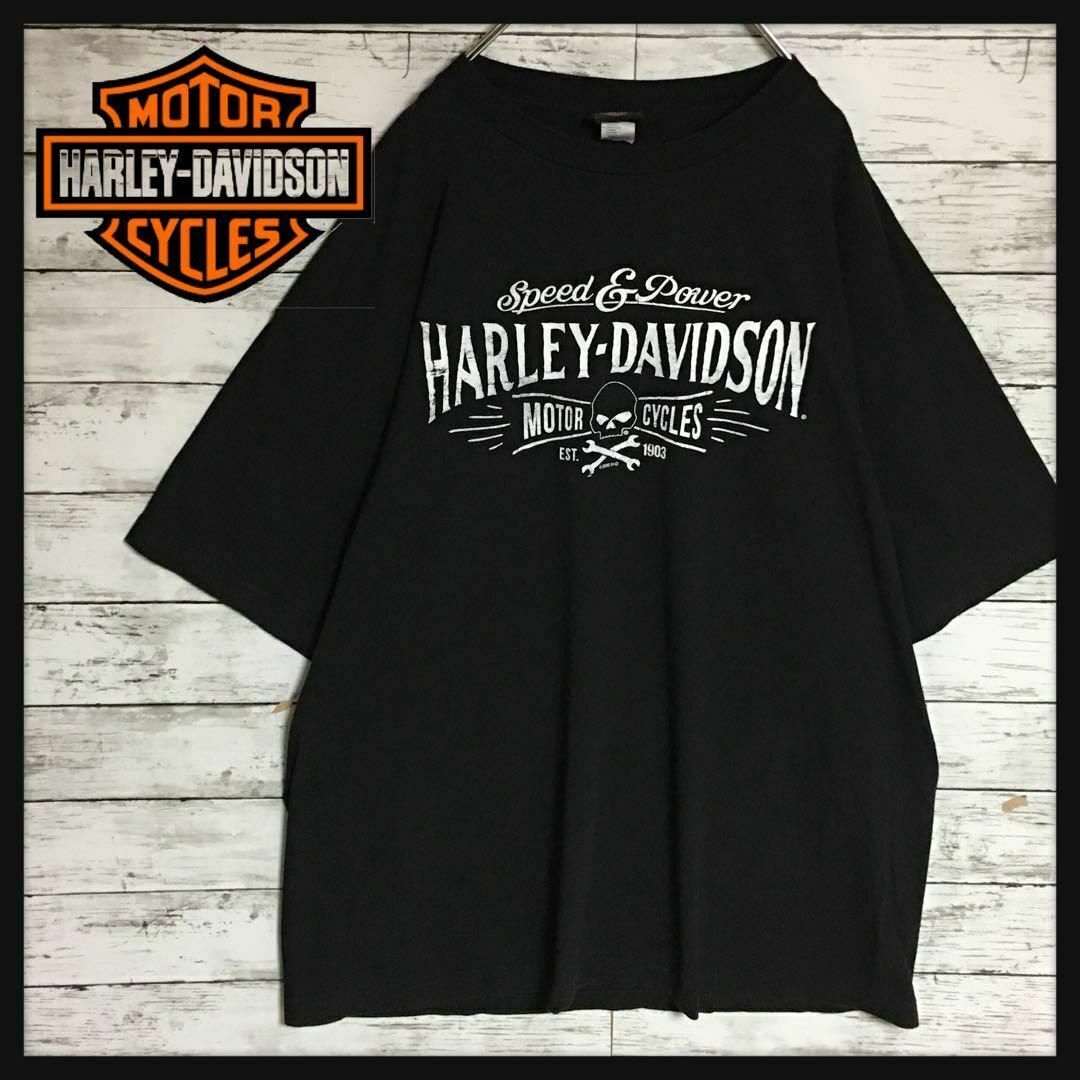 Harley Davidson(ハーレーダビッドソン)の【メキシコ製ビンテージ】ハーレーダビッドソン　両面プリントTシャツ　F550 メンズのトップス(Tシャツ/カットソー(半袖/袖なし))の商品写真