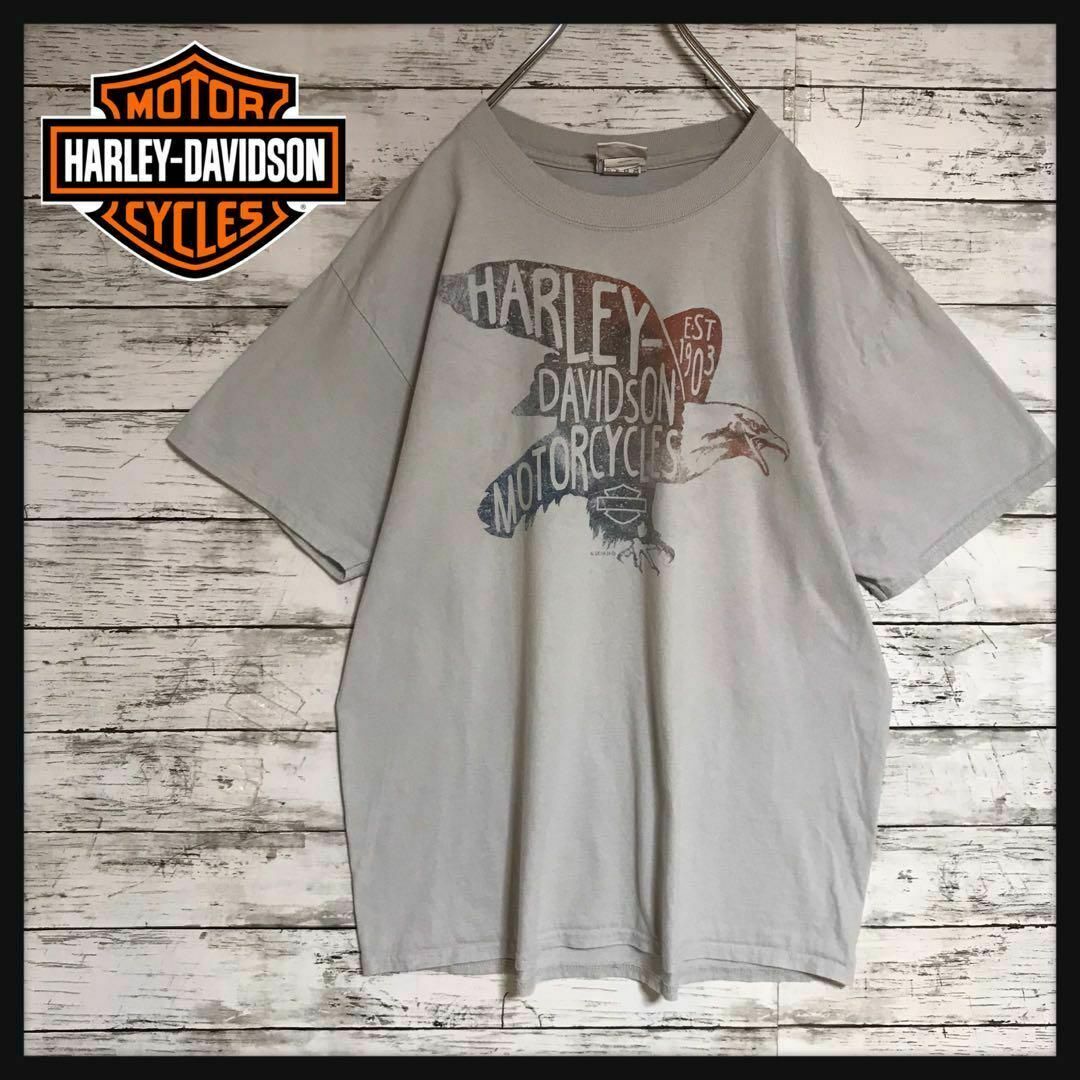 希少 Harley-Davidson Tシャツ