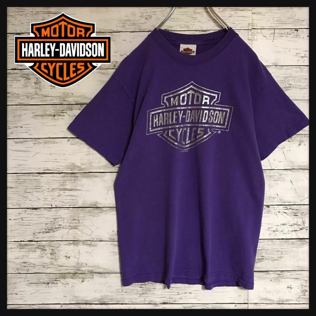 Harley Davidson(ハーレーダビッドソン)の【人気パープル】ハーレーダビッドソン　センターデカロゴTシャツ　レア　F574 メンズのトップス(Tシャツ/カットソー(半袖/袖なし))の商品写真