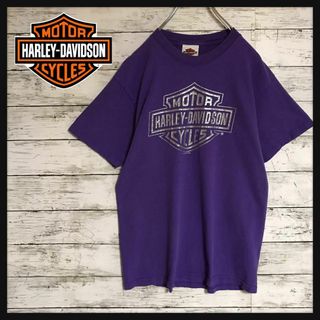 ハーレーダビッドソン(Harley Davidson)の【人気パープル】ハーレーダビッドソン　センターデカロゴTシャツ　レア　F574(Tシャツ/カットソー(半袖/袖なし))