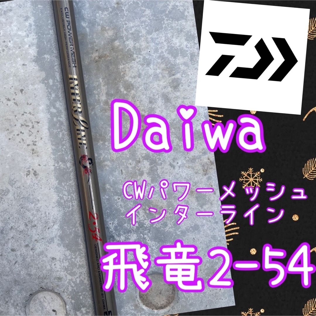 Daiwa ダイワ　CWパワーメッシュ インターライン飛竜2-54