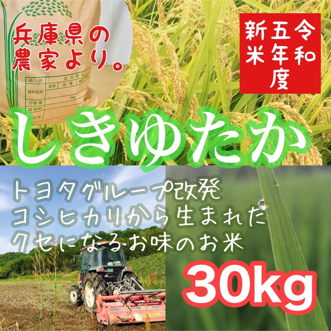 30kg-　レア品種　シキユタカ】兵庫県産新米＊湧き水育ち農家のお米