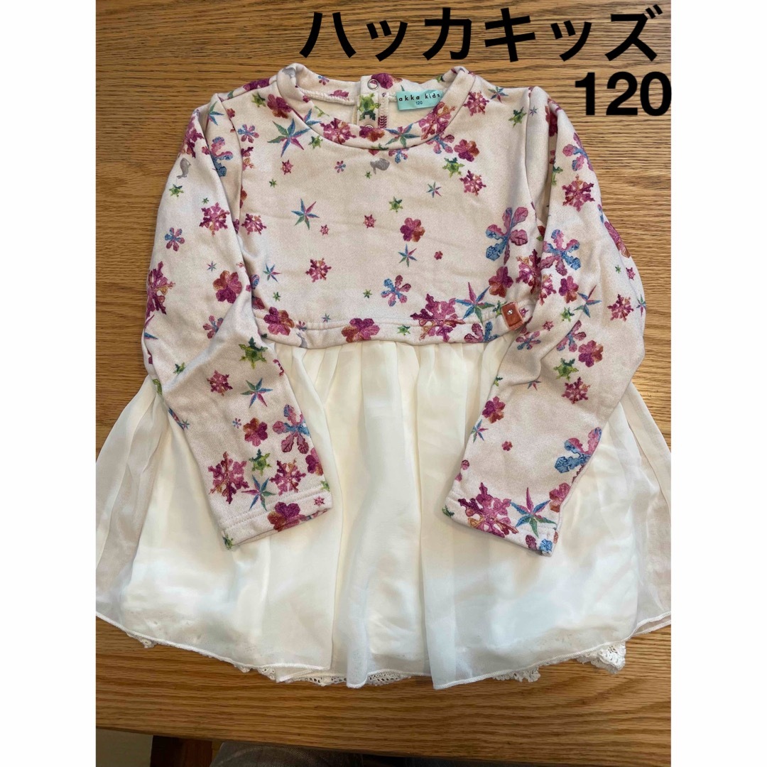 hakka kids(ハッカキッズ)のハッカキッズ　トップス　120 キッズ/ベビー/マタニティのキッズ服女の子用(90cm~)(Tシャツ/カットソー)の商品写真