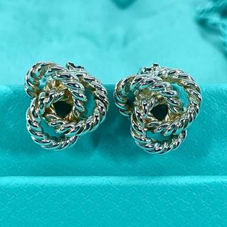 Tiffany & Co. - ティファニー エターナル ピアス 750YG TIFFANY