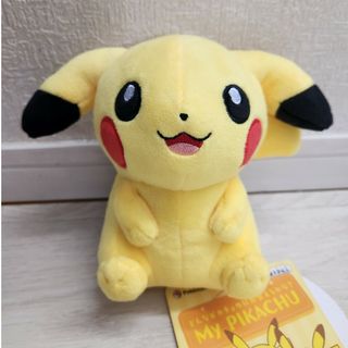 MY PIKACHU マイピカチュウ　オス　垂れ耳　笑顔　メモリアルタグ付