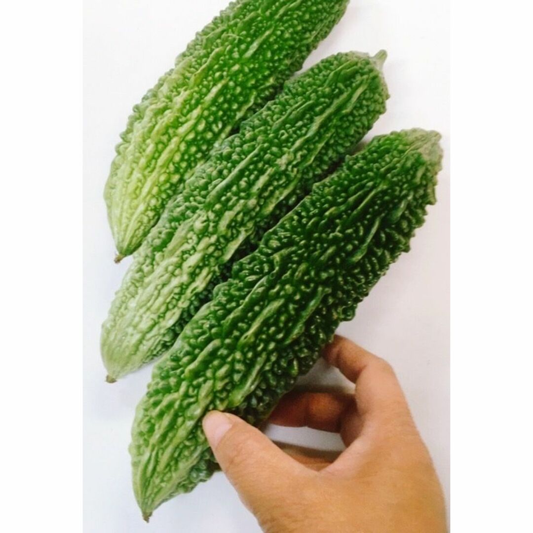 旬の健康野菜！　沖縄本島産　ゴーヤーぎっしりセット！ 食品/飲料/酒の食品(野菜)の商品写真