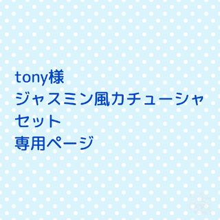 tony様  ジャスミン風カチューシャセット(その他)