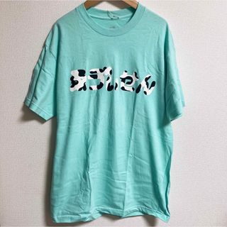 新品 evisen skateboards Tシャツ えゔぃせん(Tシャツ/カットソー(半袖/袖なし))