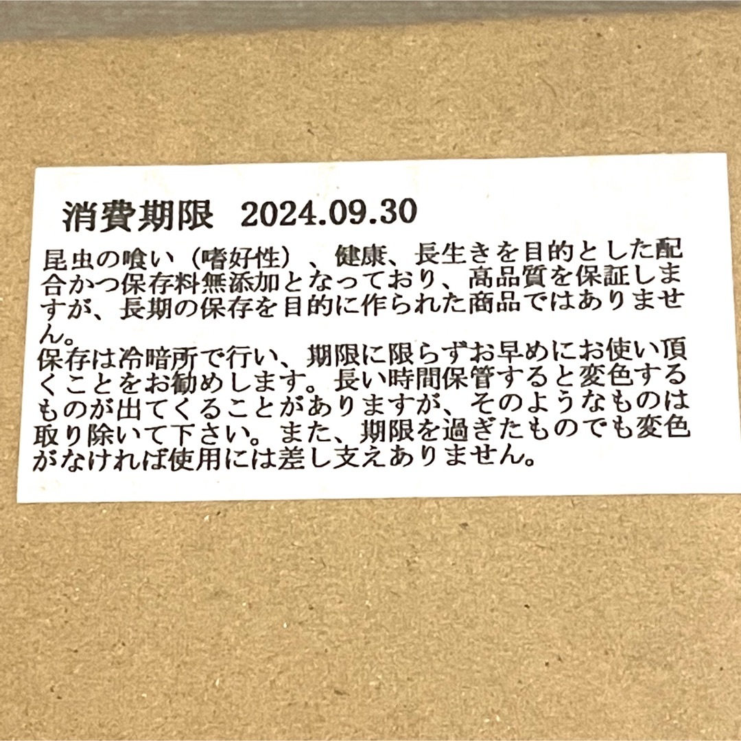 ×500個　 KBファーム プロゼリー 昆虫ゼリー クワガタ　カブト　ハムスター