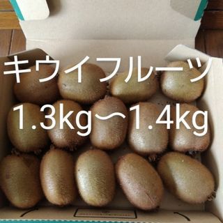 キウイフルーツ 梱包資材込み1300g〜1400g 農薬不使用(フルーツ)